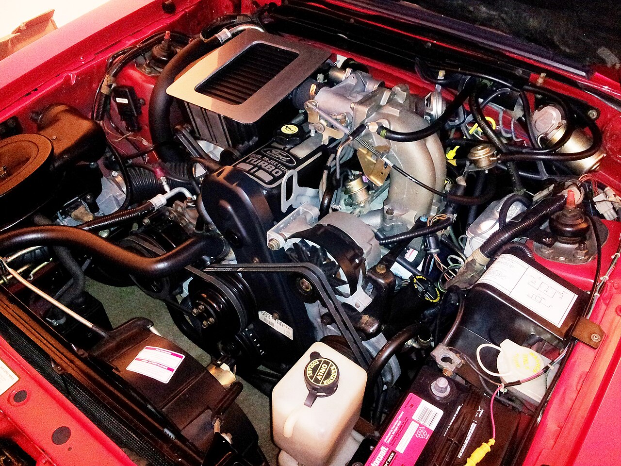 Vehicle engine bay with service access points